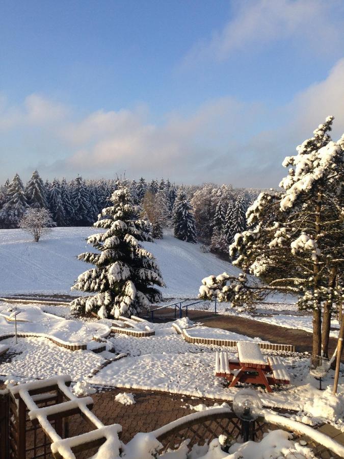 Ferienwohnung "Rodelnde Geiss" Mit Schwimmbad Braunlage Exterior photo